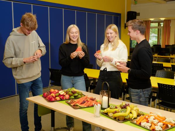 Lenkje til artikkel: Hospitering 2026